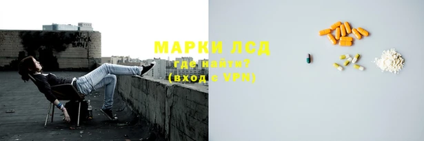 сатива Магас