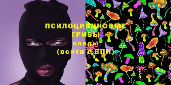 Альфа ПВП Майский