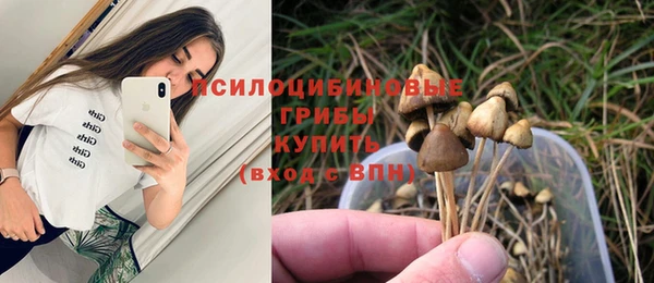 прущая мука Лихославль